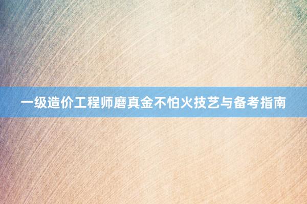 一级造价工程师磨真金不怕火技艺与备考指南